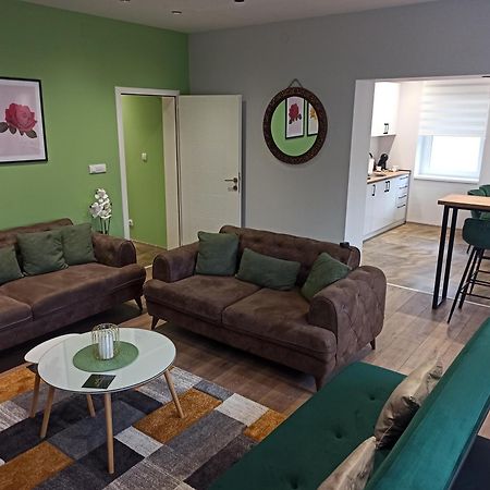 Apartament Dream House Vrsac Zewnętrze zdjęcie