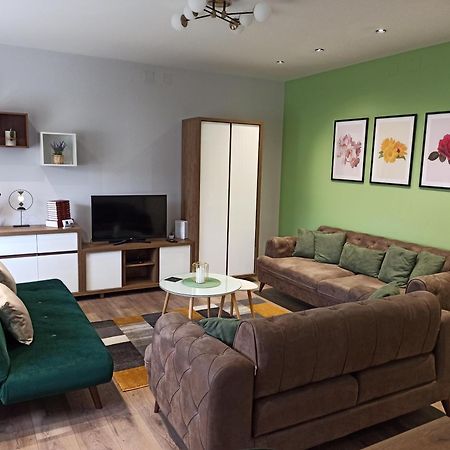 Apartament Dream House Vrsac Zewnętrze zdjęcie