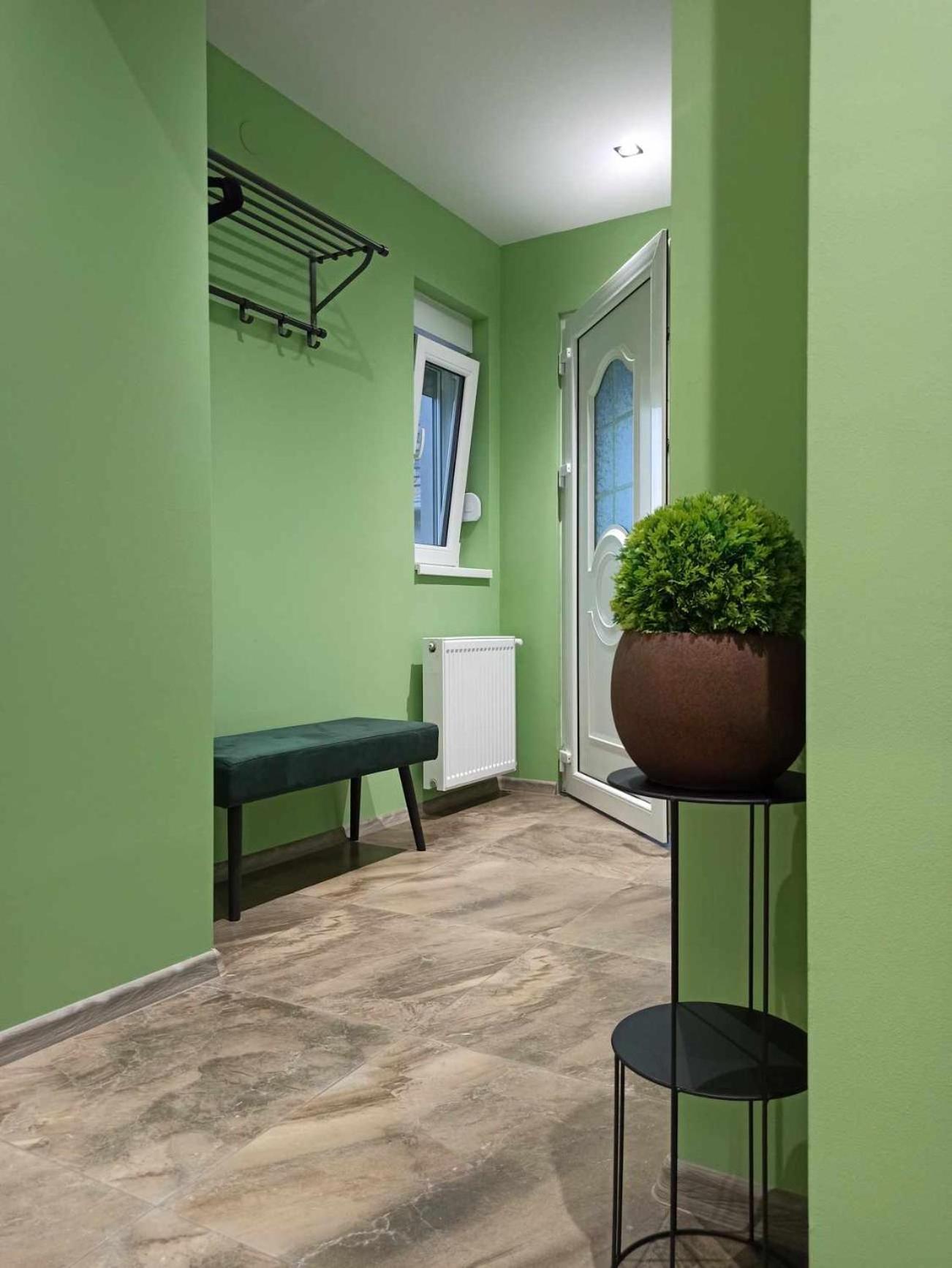 Apartament Dream House Vrsac Zewnętrze zdjęcie